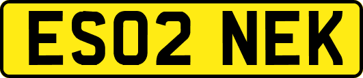 ES02NEK
