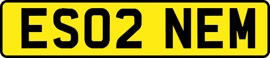 ES02NEM