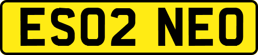 ES02NEO
