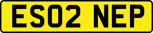 ES02NEP