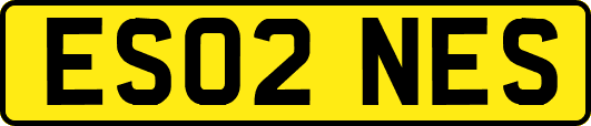 ES02NES