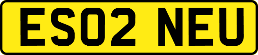 ES02NEU