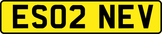 ES02NEV
