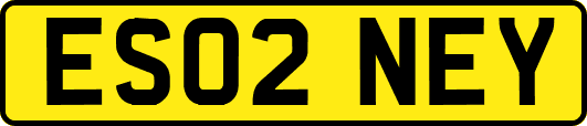ES02NEY