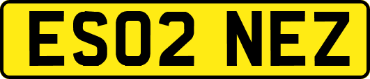 ES02NEZ