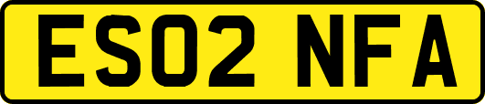 ES02NFA