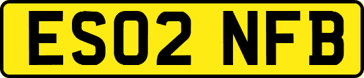 ES02NFB