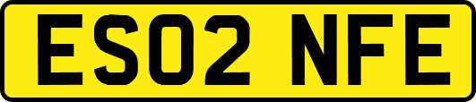 ES02NFE