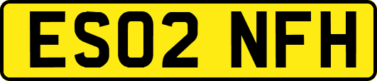 ES02NFH