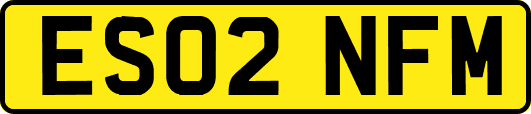 ES02NFM