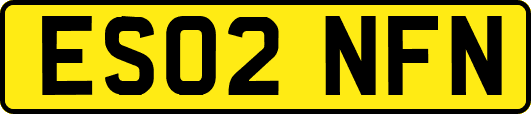 ES02NFN