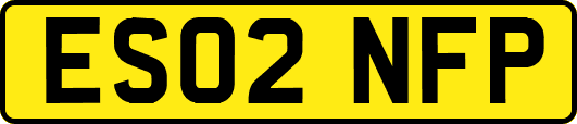 ES02NFP