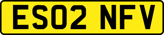 ES02NFV