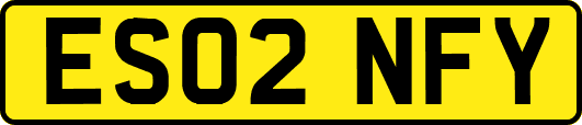 ES02NFY