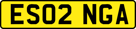 ES02NGA