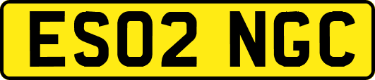 ES02NGC