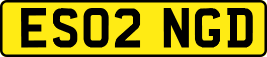 ES02NGD