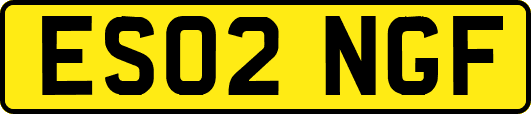 ES02NGF