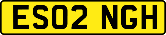 ES02NGH