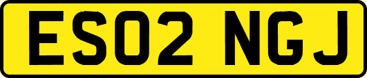 ES02NGJ