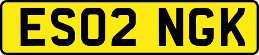 ES02NGK
