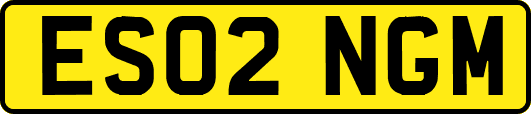 ES02NGM