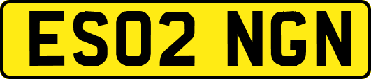 ES02NGN