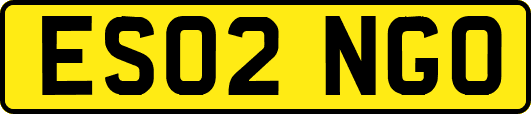 ES02NGO