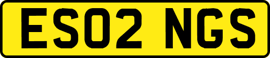 ES02NGS