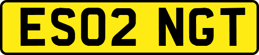 ES02NGT