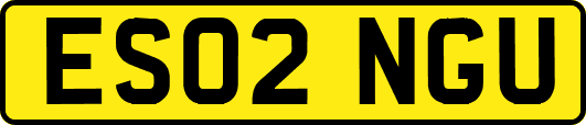 ES02NGU