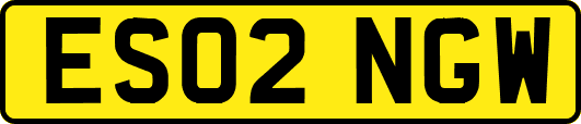 ES02NGW