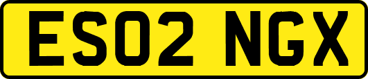 ES02NGX