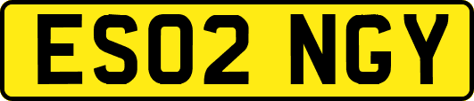 ES02NGY