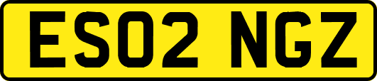ES02NGZ