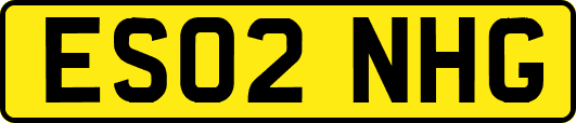 ES02NHG