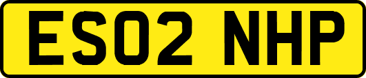 ES02NHP