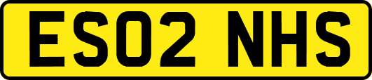 ES02NHS