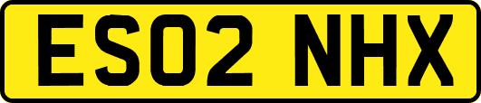 ES02NHX