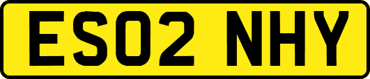 ES02NHY