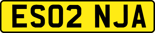 ES02NJA