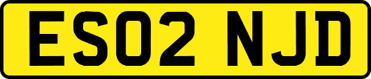 ES02NJD