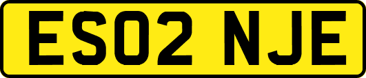 ES02NJE