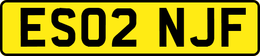 ES02NJF