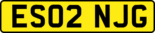 ES02NJG