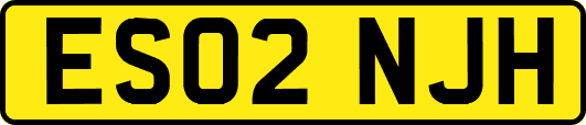 ES02NJH