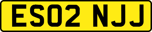 ES02NJJ