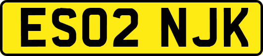ES02NJK