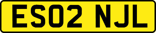 ES02NJL