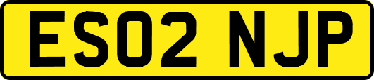 ES02NJP